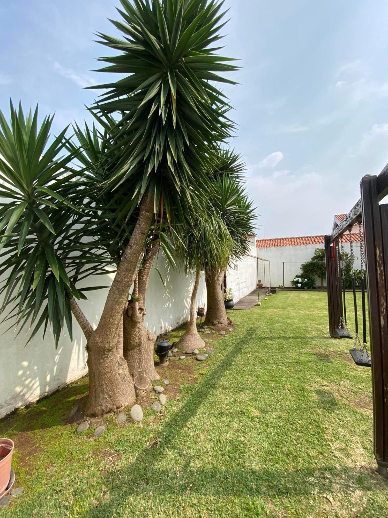 Apartamentos São João Horta (Azores) Exterior foto