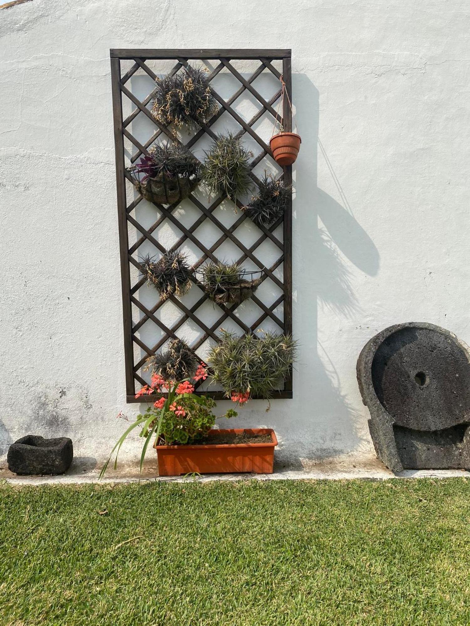 Apartamentos São João Horta (Azores) Exterior foto